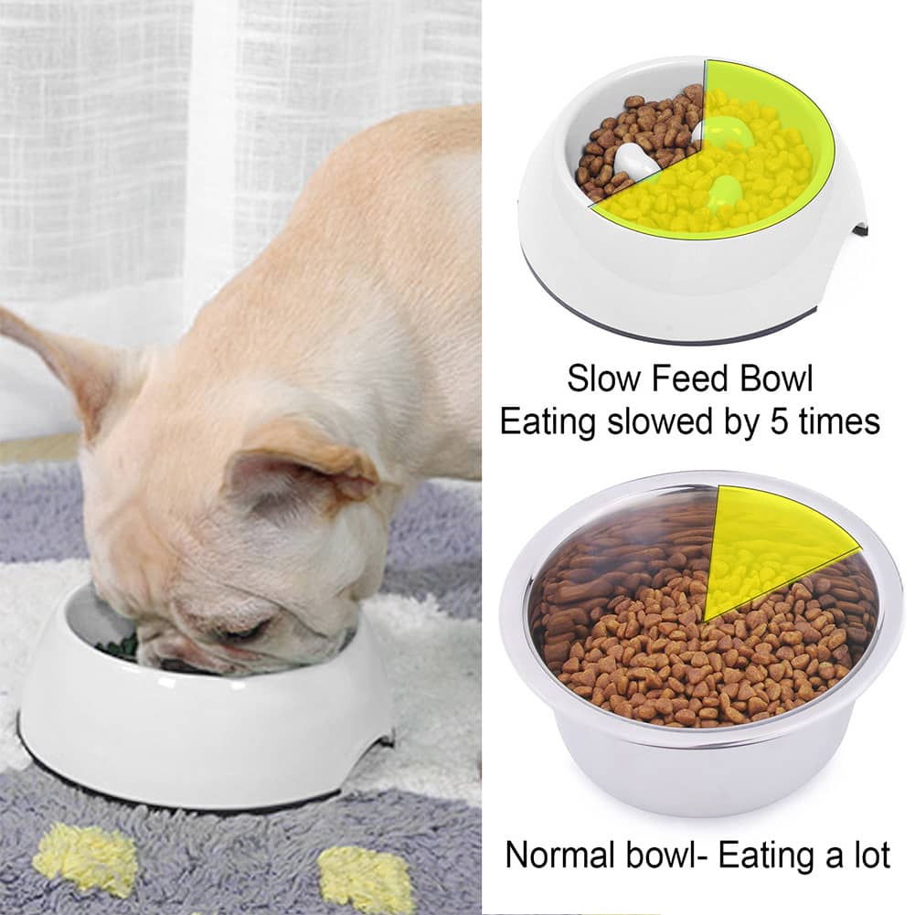 Slow Feeder – ThinkPet