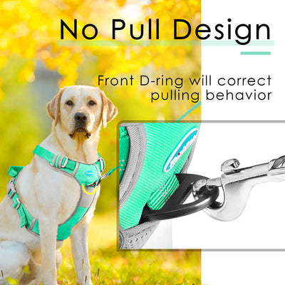 No-Pull-Design-Feature-ThinkPet-2022
