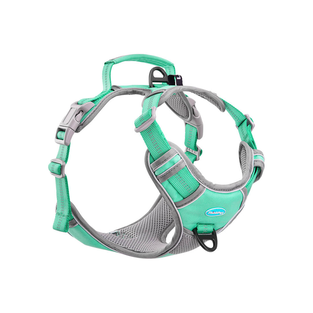 Pets at home non pull harness hotsell