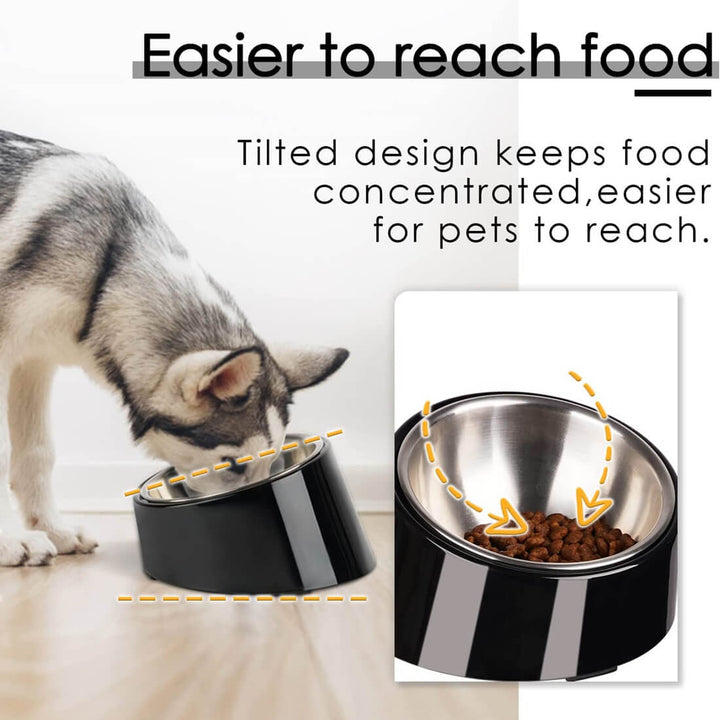 Slanted Dog Bowl ZEROMESS Tilted Pet Feeder For Dogs Cats SU ThinkPet